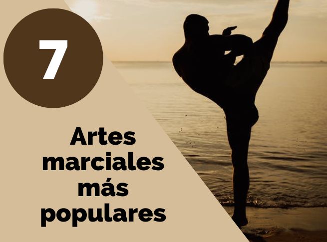 Las 7 artes marciales más populares