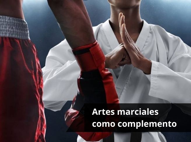 Estudiar Box y Artes marciales